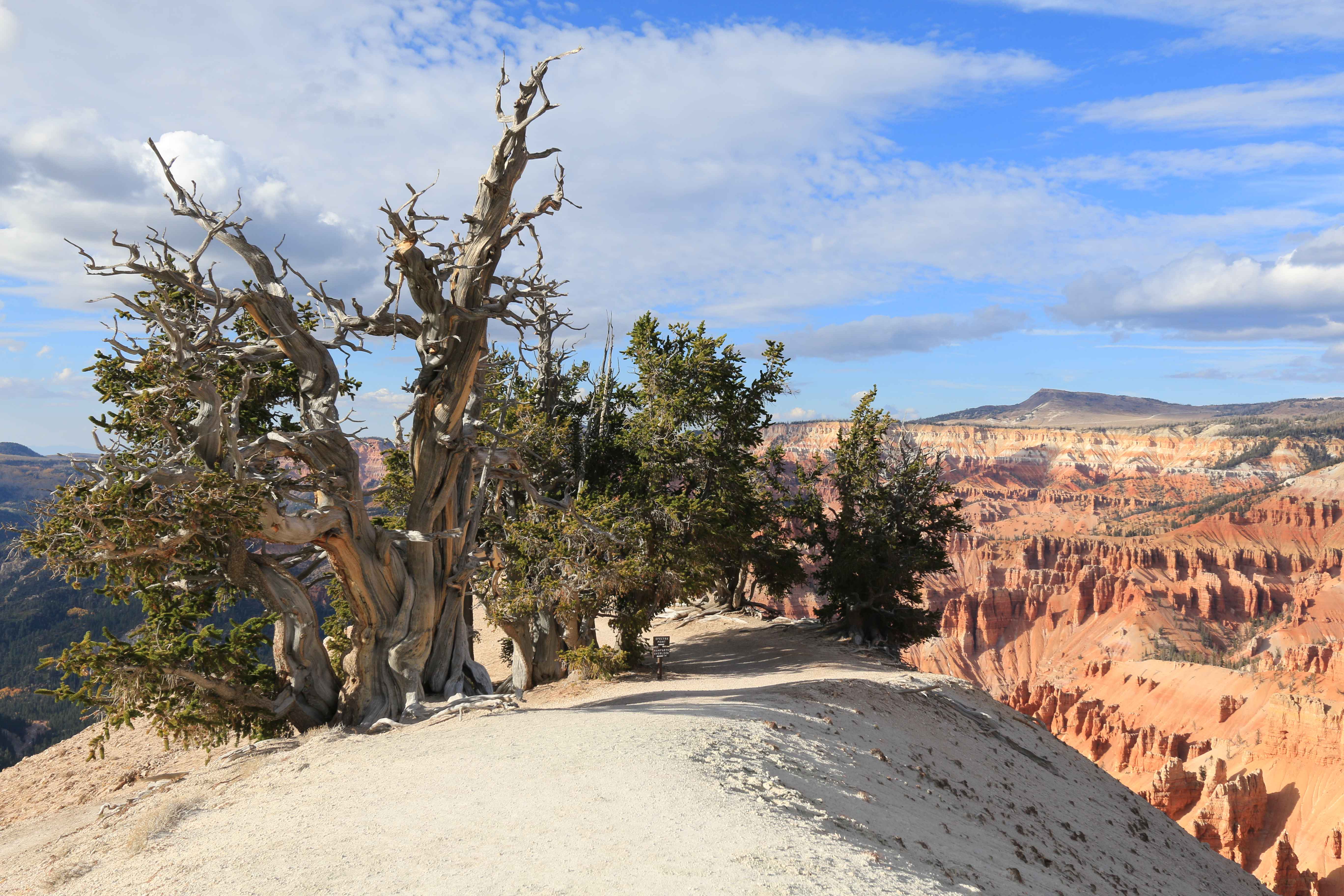 Cedar Breaks